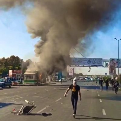 hanyshwnm1's profile picture. 