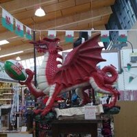 Welsh Woke Bloke (@welsh_ad) 's Twitter Profile Photo Welsh Woke Bloke (@welsh_ad) 's Twitter Profile Photo