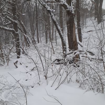 danjayibrahim84's profile picture. 