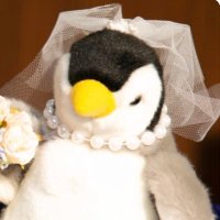 あおね (@aone_yuru) 's Twitter Profile