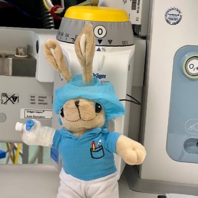 jo_se_pp's profile picture. Anesthesist, ex-Paramedic, Kammerrat der nö. Ärztekammer #FOAMed and #sono4you, Part of the Young EM Austria (@youngEMaustria) Team. Contributor to @_dasFOAM