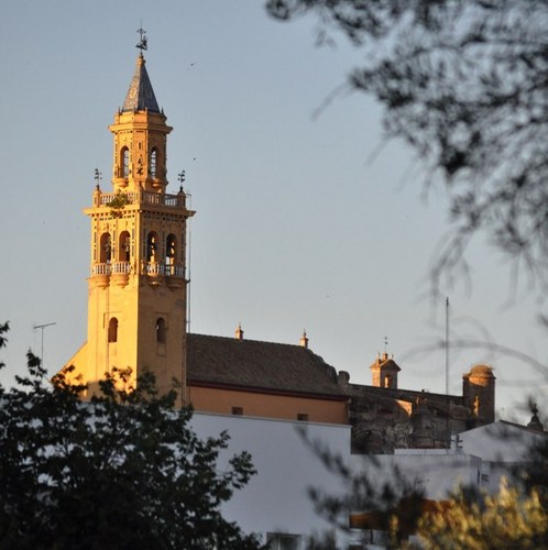 Alcalareño de pura cepa, Sevillano por los cuatro costados, Sevillista de corazón, muy Cofrade, amante del arte del toreo. Asesor inmobiliario. Megalider