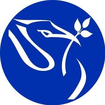 PHI WHO CC for Violence Prevention Profile