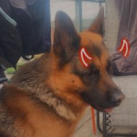 Rockie (@ozzy_sideika) 's Twitter Profile