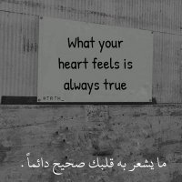 walid (@walid52863846) 's Twitter Profile