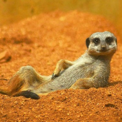 _2AT0M_'s profile picture. 