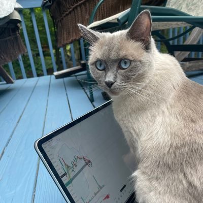 infofun21's profile picture. 