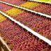 Nationalfruitshow 2024 (@nationalfruit) Twitter profile photo Nationalfruitshow 2024 (@nationalfruit) Twitter profile photo