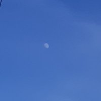 Moo-n (@moonymoonjai) 's Twitter Profile