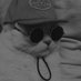 a millenial cat (@theiomographic) Twitter profile photo