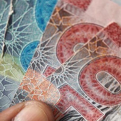 msnl88302439's profile picture. I love the female