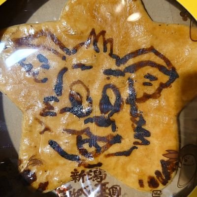 yuunsuk62's profile picture. よろしく