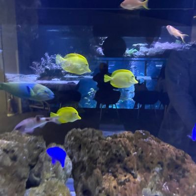 hayabusakaori's profile picture. To wait is to believe