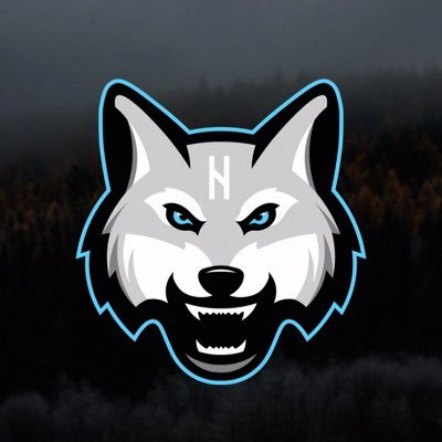 ragnaroklax's profile picture. 