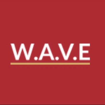 WAVE was formed in 2015, as a community group to give immediate support to victims of domestic abuse based in the West Midlands.