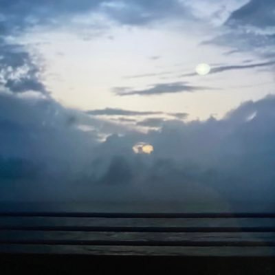JackTing666's profile picture. 