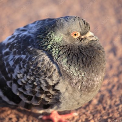 spookyscary69's profile picture. 