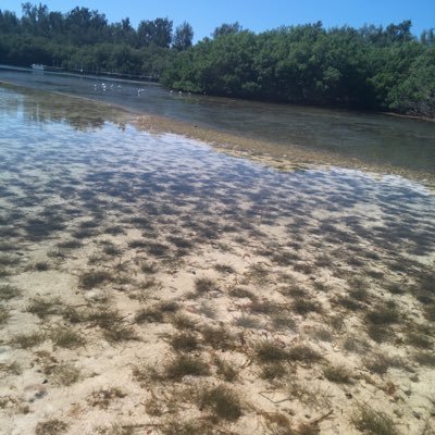 AquaTech Eco Conslt Profile