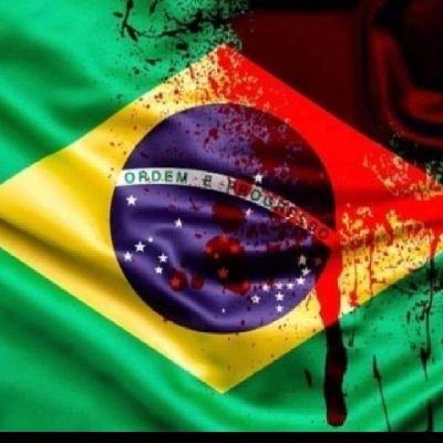CollieTop's profile picture. Deus pátria família