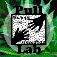 Pull Lab☀️(@Pull_Lab420) 's Twitter Profile Photo