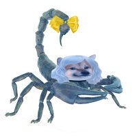 Scorpio fella aka Bea (@szafirek2000) 's Twitter Profile