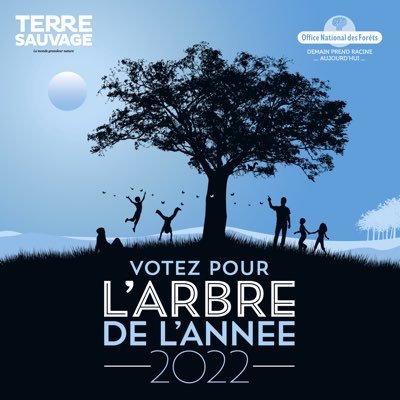 Arbre de l'Année