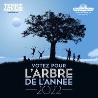 Arbre de l'Année (@arbredelannee) 's Twitter Profile