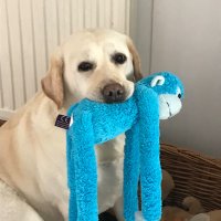 Roxy Pearl (@roxypearl6) 's Twitter Profile