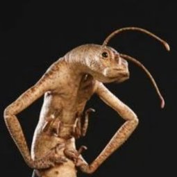 LgLight3's profile picture. 