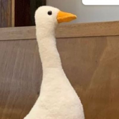 cpkkstm's profile picture. 