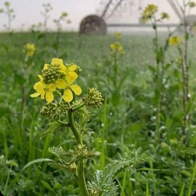 M7_0_0's profile picture. احبك وكأنك قطعةٌ مني.