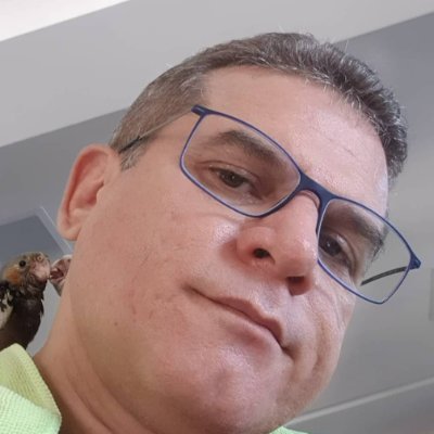 jonasreis's profile picture. 