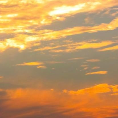 McSA6v2b69Xoquk's profile picture. 