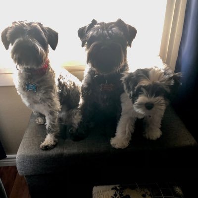 CharlieEXPLRAZ's profile picture. Father, grandfather, husband, hiker, cyclist, woodworker, RVer, movies, retired IT professional (database, software)