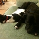 lorraine upton - @LorraineUpton - Twitter