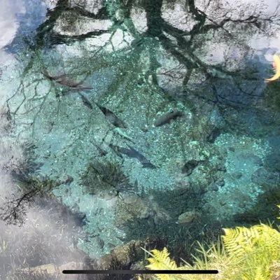 FNT_FEV's profile picture. ✨FANTASTICS🫶PSYCHIC FEVER ✨ FANTARO🌻ForEVER∞いつも元気もらってます！✨だいぶ大人😆本当にいつもありがとうの気持ちでいっぱいです🌻ほりさん！ほりさん！！✨🦙✨拒否無☺️