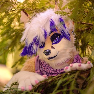👑 Desert Queen 👑 • 24 y/o • Fursuiter • Too sassy to handle 💜 • DM friendly!