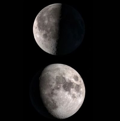 d_sapic's profile picture. 