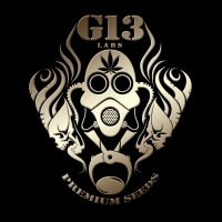 G13 Labs Seeds (@g13labsseeds) 's Twitter Profile