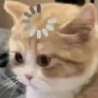 ooshigong's profile picture. 清水/ 不要叫我妈妈啊！/温柔挂 / 4i /有🚪158互关免🚪「私人v」请直接发送口令/sorry 我是颜控/ 不网调不约调/纯爱无敌