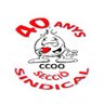 CCOOSantBoiLlob's profile picture. Twitter oficial de la secció sindical de CCOO a l'Ajuntament de Sant Boi de Llobregat 📲 Amb tu tenim la força 💪🏼❤️💜💚