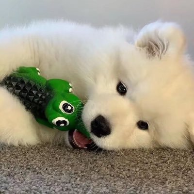 fkngrtさんのプロフィール画像