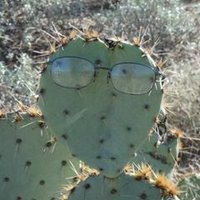 David Carpenter (@ca01979439david) 's Twitter Profile