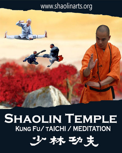 ShaolinTorrance's profile picture. Shaolin Kung Fu , Taichi , Zen Meditation