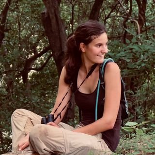 Biologist - Ethologist - PhD student 
🔊🐵🎙️ studying the vocal communication of wild BONOBOS 
@kokolopori