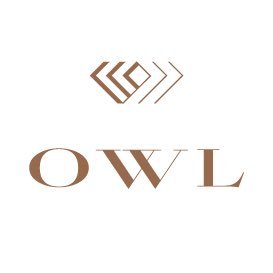 OWL provides alternative financing secured by #diamonds and #jewelry since 2011. $25k-$2MM+ https://t.co/1UKFiDMVtJ