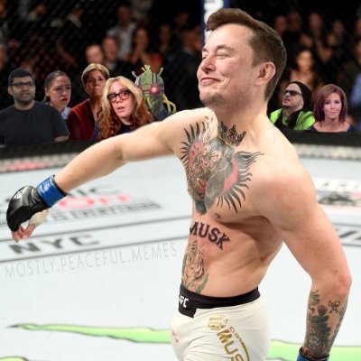 CryptoMcone's profile picture. 