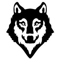 Sher (@sherzad_sher) 's Twitter Profile