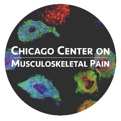 NIAMS resource-based Center that fosters and supports research and training aimed at understanding mechanisms underlying pain in rheumatic and MSK diseases