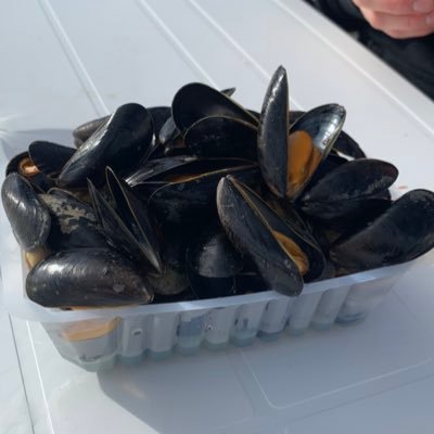 a la pêche aux moules